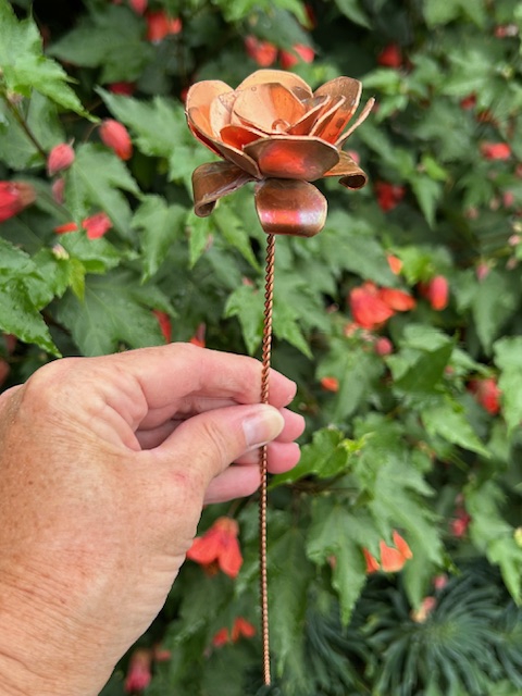 Roosje van Koper (25,5x5,2cm)