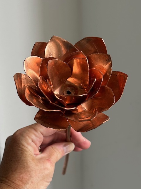 Roos van Koper (28x9,5cm)