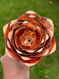 Roos van Koper (26,5x9,8cm)