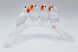 Dwergpapegaaien 7621/000/005