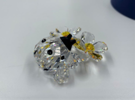 Lieveheersbeestje op bloem 9100/000/035