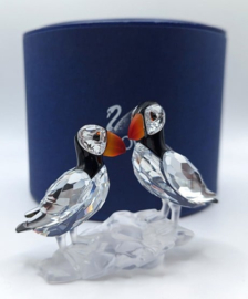 Papegaaiduikers 7621/000/008