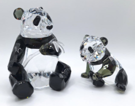 Jaarstuk 2008 - de Panda's 9100/000/086