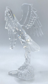 Amerikaanse zeearend 7670/000/002