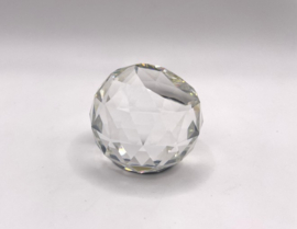 Paradijsvogel plant 9406/040/001