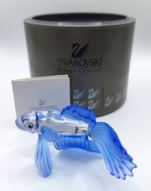 Siamese vechtvis blauw 7644/000/005