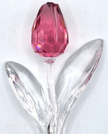 Roze Tulp 7400/200/407