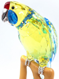Geelbuik Rosella 9600/000/085