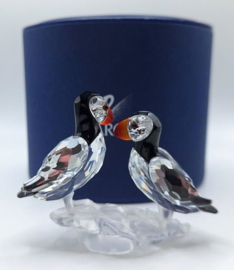 Papegaaiduikers 7621/000/008