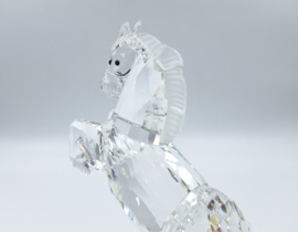 Paard, witte hengst 7612/000/001