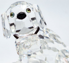 Hond Sint Bernard 7619/000/006