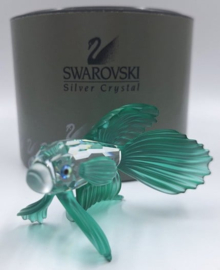 Siamese vechtvis groen 7644/000/006