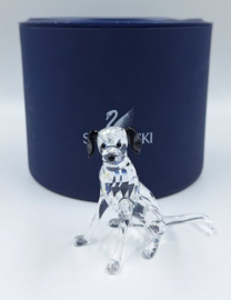 Dalmatiër moeder 7619/000/010