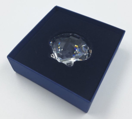 Sint Jacobsschelp 9100/000/024