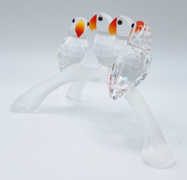 Dwergpapegaaien 7621/000/005