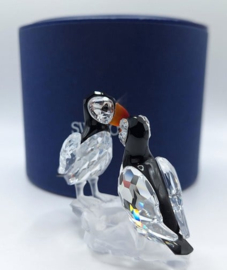 Papegaaiduikers 7621/000/008