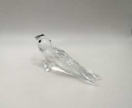 Zeehond - Zwarte Snorharen 7646/085/000