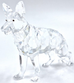 Duitse herdershond 7619/000/007