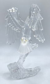 Amerikaanse zeearend 7670/000/002