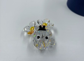 Lieveheersbeestje op bloem 9100/000/035