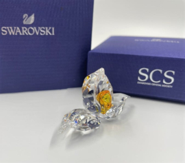 SCS 2018 Afrikaanse orchidee 5301553