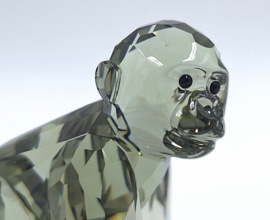 Gorillajong 9100/000/118