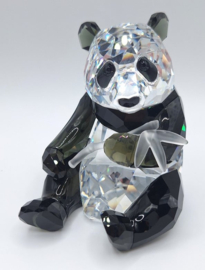 Jaarstuk 2008 - de Panda's 9100/000/086
