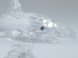 Baby haai 7644/000/007