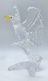 Amerikaanse zeearend 7670/000/002