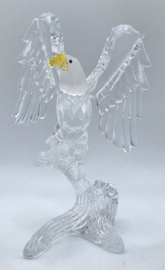 Amerikaanse zeearend 7670/000/002