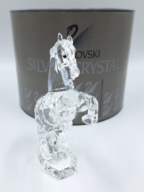 Paard, witte hengst 7612/000/001