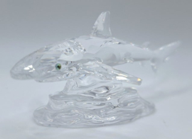 Baby haai 7644/000/007