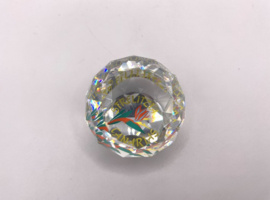 Paradijsvogel plant 9406/040/001