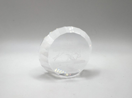 Wilde paarden 2001 7434/000/001