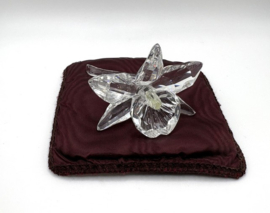 Donkergele orchidee 7478000002