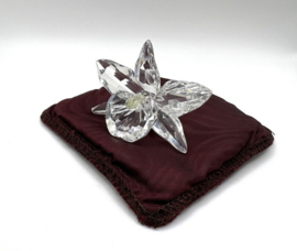 Donkergele orchidee 7478000002