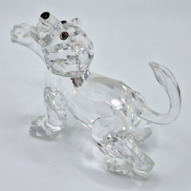 Leeuwenjong 7603/000/001