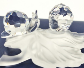 Baby slakken op blad 7550/000/009