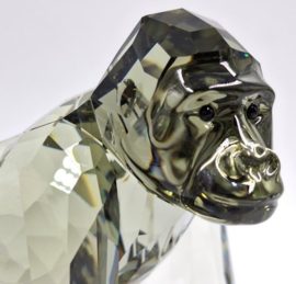 Jaarstuk 2009 - Gorilla's 9100/000/117