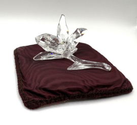 Donkergele orchidee 7478000002