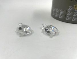 2 baby schildpadden 7632/000/002