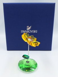 Bloem Joy 9400/000/248