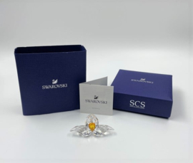 SCS 2018 Afrikaanse orchidee 5301553