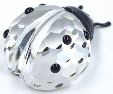 Lieveheersbeestje 7604/000/001