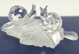 Baby slakken op blad 7550/000/009