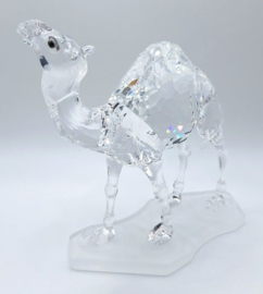 Dromedaris 7603/000/004