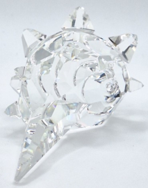 Hoornslak schelp 7624/072/000