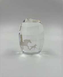 Ledengeschenk 2014 9100/000/458