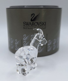 Zodiac geit 7693/000/003