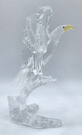 Amerikaanse zeearend 7670/000/002